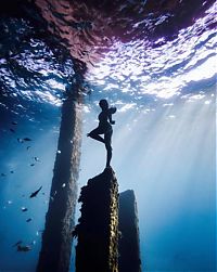 TopRq.com search results: Underwater photography by Rava Ray