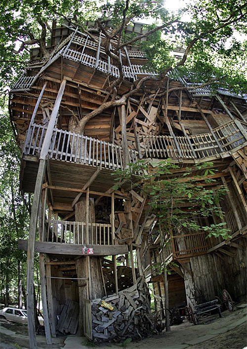 treehouse