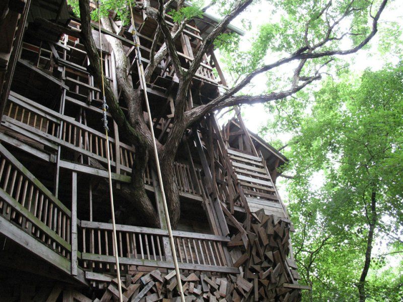 treehouse