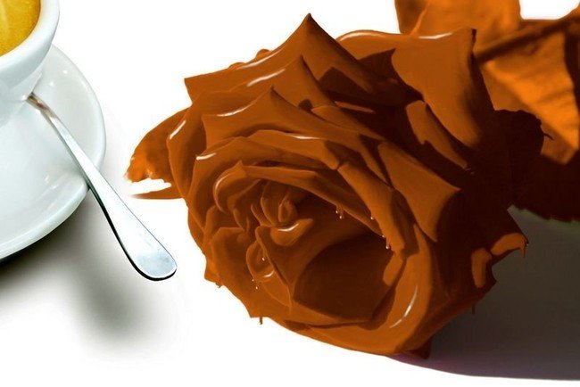 chocolate food art