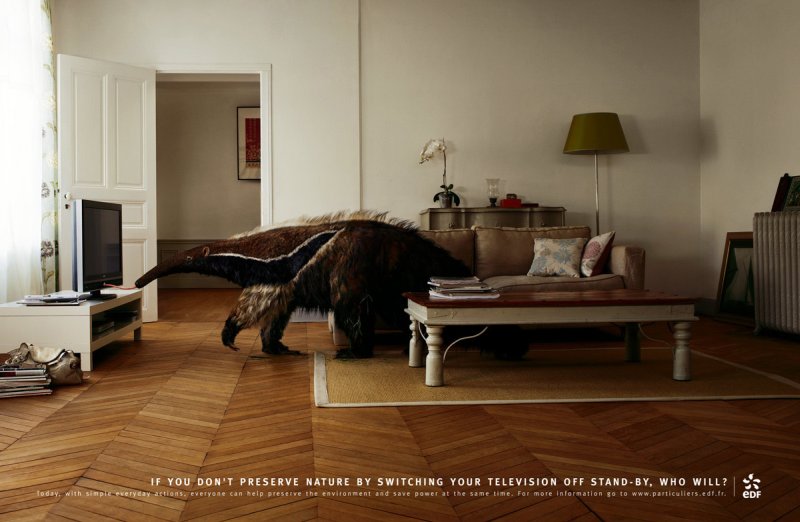 save electricity advertising campaign