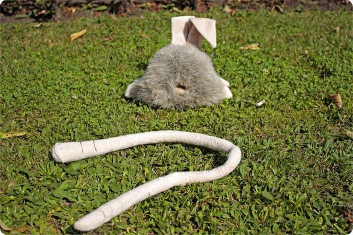 funny rabbit toy