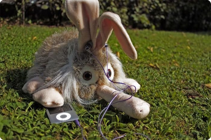 funny rabbit toy