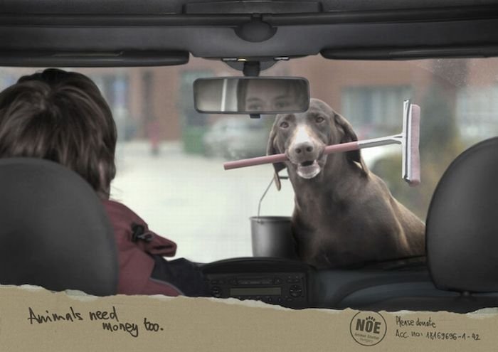 best ads with dogs