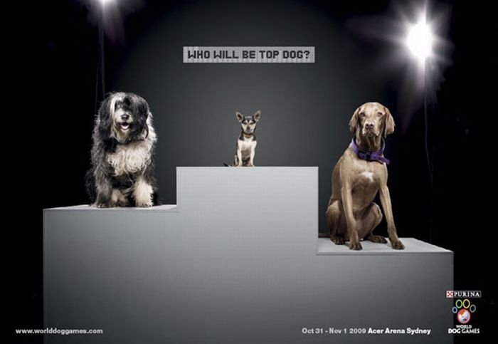 best ads with dogs