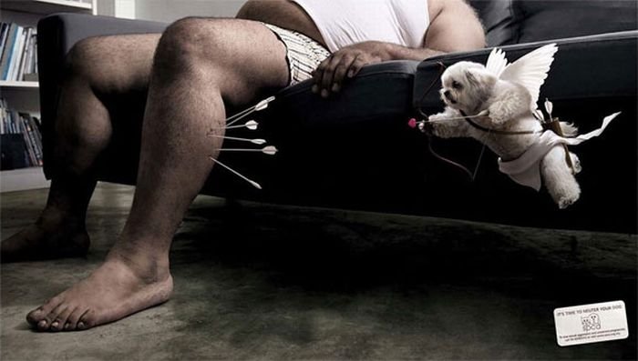 best ads with dogs