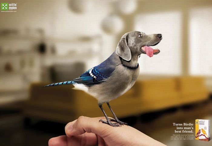 best ads with dogs