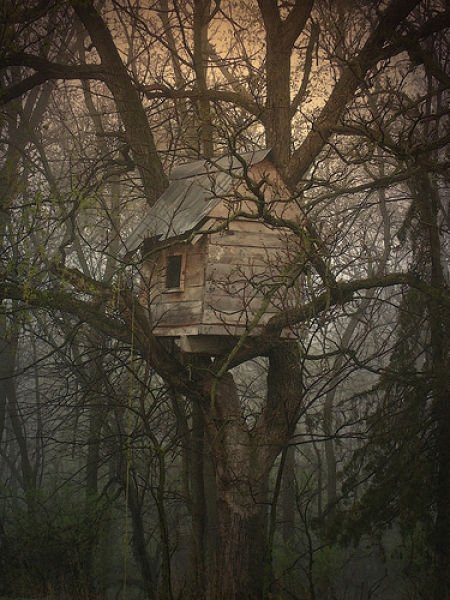 treehouse