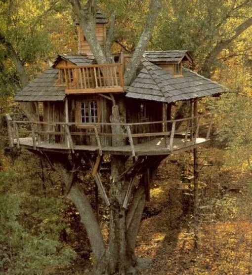 treehouse