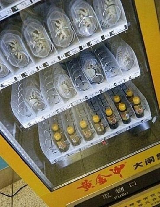 Crab vending machines, China