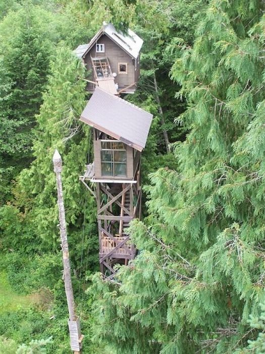 treehouse