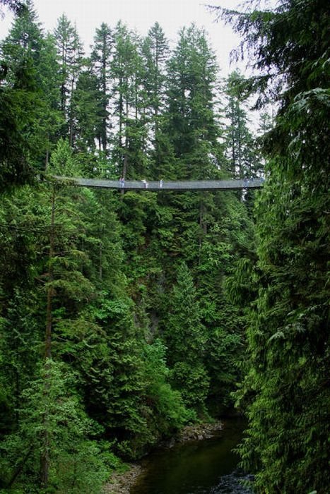 Capilano Suspension Bridge, British Columbia, Canada
