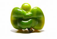 TopRq.com search results: Mutants vegetable from Uli Westphal