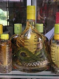 TopRq.com search results: serpent wine
