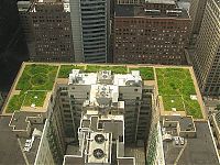 Architecture & Design: green roofs
