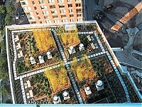 TopRq.com search results: green roofs
