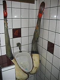 TopRq.com search results: toilets in the world