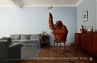 Architecture & Design: save electricity advertising campaign