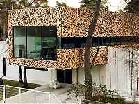 Architecture & Design: unusual house