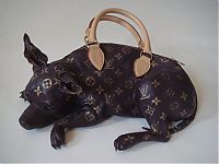TopRq.com search results: creative women's handbag