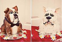 Architecture & Design: creative dog-shaped cake