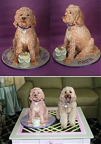 TopRq.com search results: creative dog-shaped cake