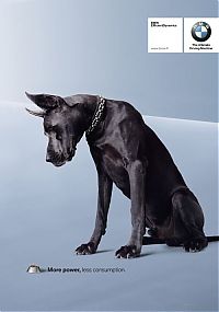 Architecture & Design: best ads with dogs