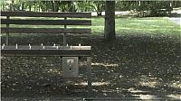 TopRq.com search results: Private bench by Fabian Brunsing