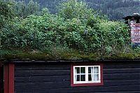 Architecture & Design: Sod roofs, Norway