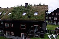 Architecture & Design: Sod roofs, Norway