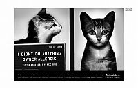 Architecture & Design: PETA animal protection campaign