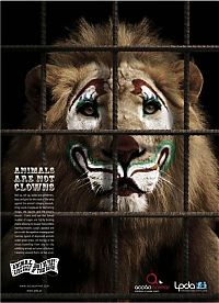 TopRq.com search results: PETA animal protection campaign