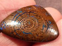 TopRq.com search results: opalized wood boulder opal