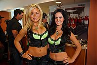 Motorsport models: monster energy grid girls