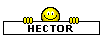 emoticon