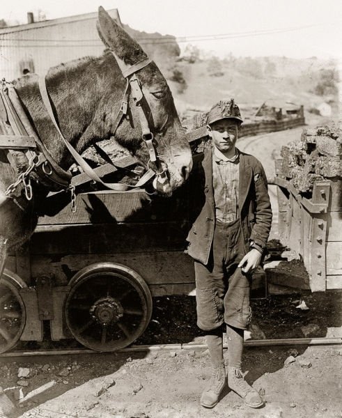 History: Portrait of American children, United States