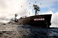 TopRq.com search results: Deadliest catch, Discovery Channel