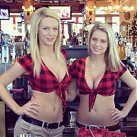 TopRq.com search results: Twin Peaks restaurant girls, Addison, Dallas County, Texas, United States