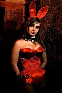 TopRq.com search results: History: Playboy Bunny girls