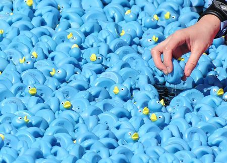 Duck race, London, United Kingdom