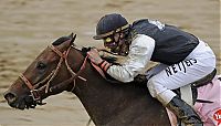 Sport and Fitness: Kentucky derby 2009