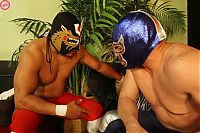 TopRq.com search results: Mexican fights
