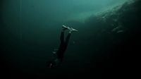 TopRq.com search results: Extreme diving by Guillaume Néry