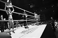 TopRq.com search results: boxing ring girls