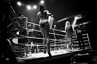 TopRq.com search results: boxing ring girls