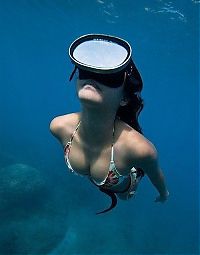 TopRq.com search results: diving girl