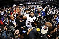TopRq.com search results: Baltimore Ravens, 2012 Super Bowl XLVII champions