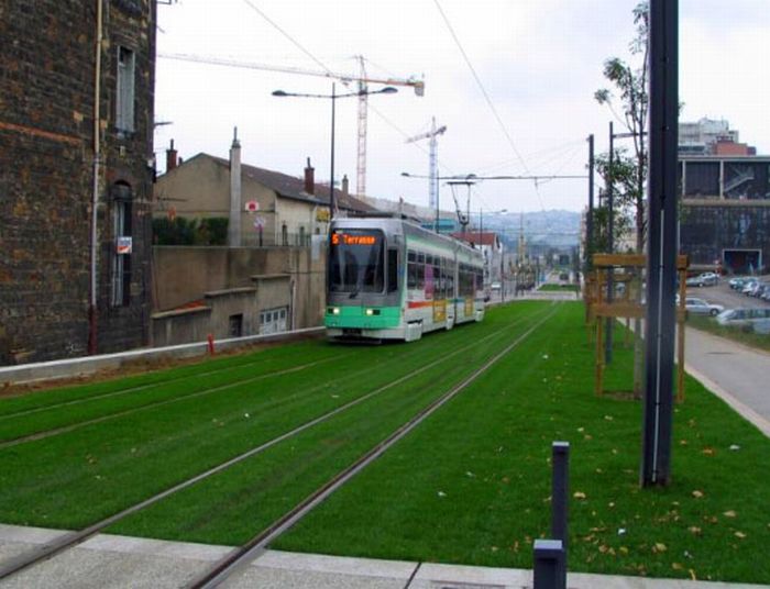 lawn rails for trams