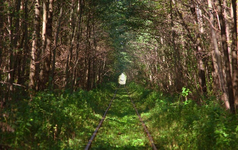 Train in Russia