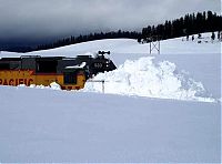 TopRq.com search results: train got stuck in the snow